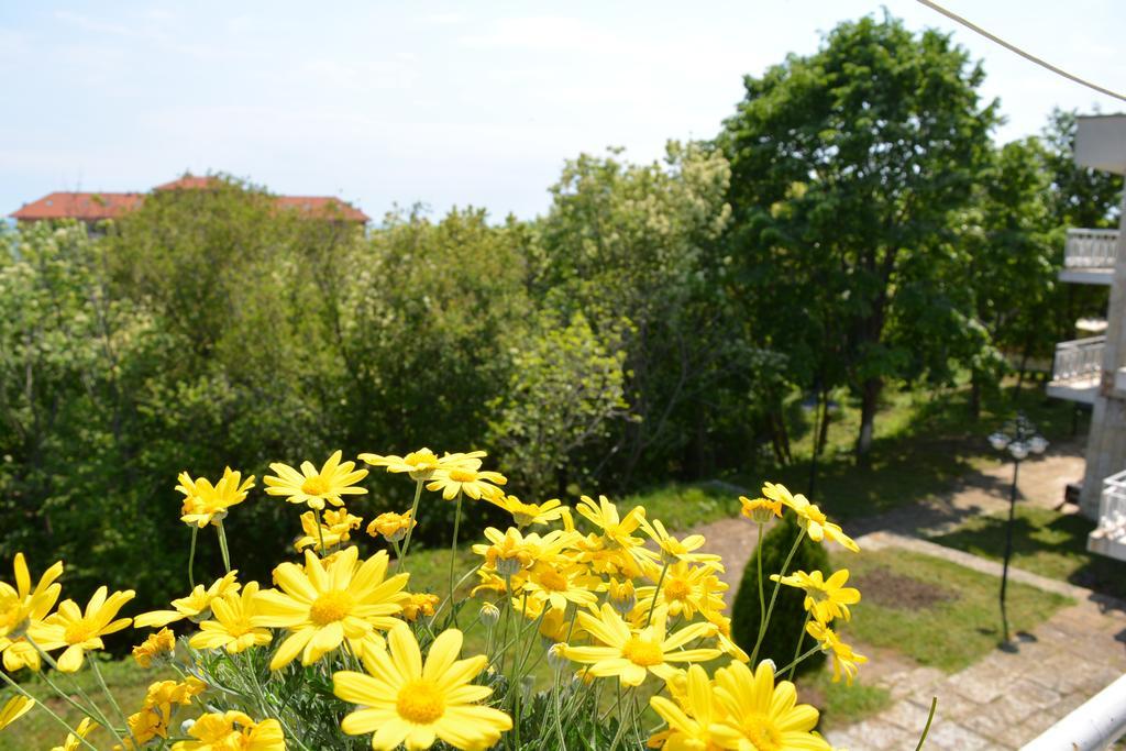 Sunshine Pearl Family Hotel Kavarna Eksteriør bilde